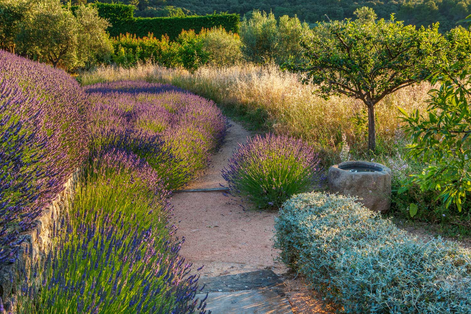 Provence Landscape by Anthony Paul Landscape Design