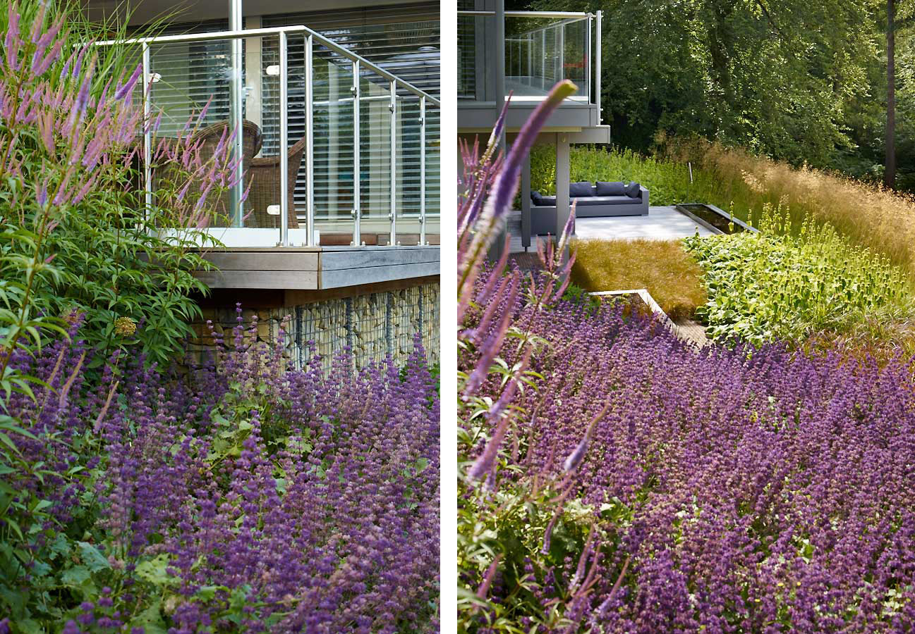 Huf Haus gardens by Anthony Paul Landscape Design